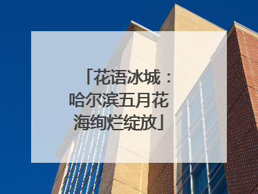 花语冰城：哈尔滨五月花海绚烂绽放