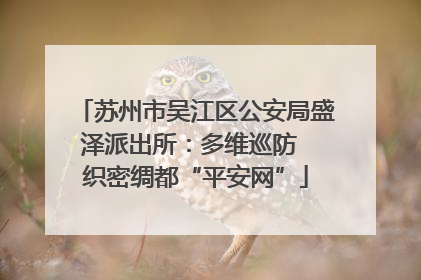 苏州市吴江区公安局盛泽派出所：多维巡防  织密绸都“平安网”