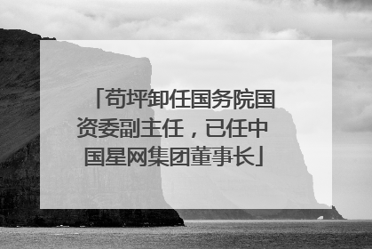 苟坪卸任国务院国资委副主任，已任中国星网集团董事长
