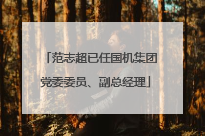 范志超已任国机集团党委委员、副总经理