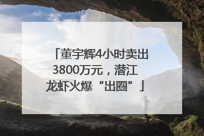 董宇辉4小时卖出3800万元，潜江龙虾火爆“出圈”