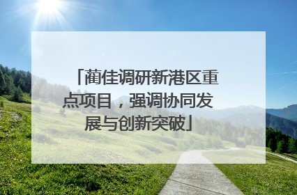 蔺佳调研新港区重点项目，强调协同发展与创新突破