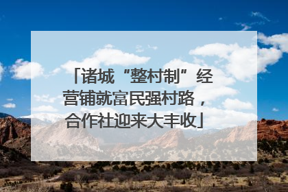 诸城“整村制”经营铺就富民强村路，合作社迎来大丰收