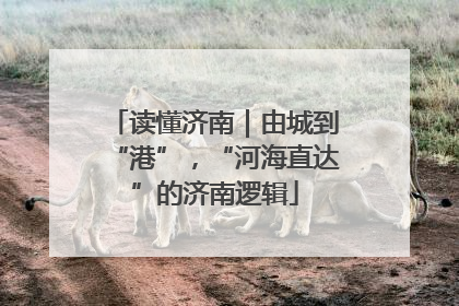 读懂济南｜由城到“港”，“河海直达”的济南逻辑