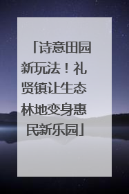 诗意田园新玩法！礼贤镇让生态林地变身惠民新乐园