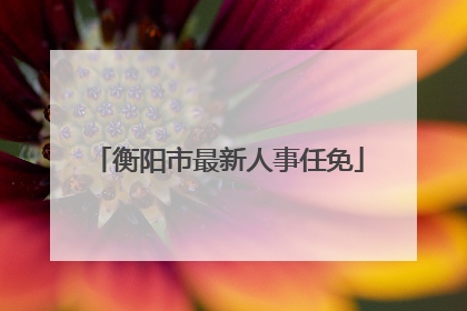 衡阳市最新人事任免