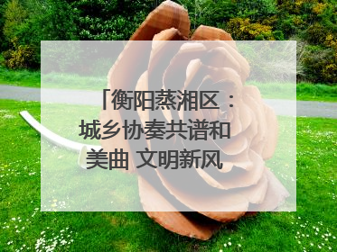 衡阳蒸湘区：城乡协奏共谱和美曲 文明新风劲拂蒸湘地