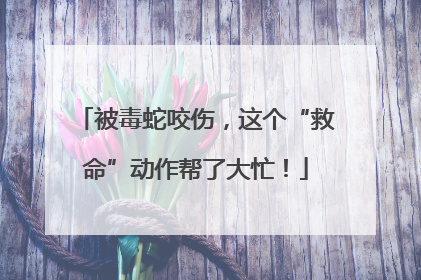 被毒蛇咬伤，这个“救命”动作帮了大忙！