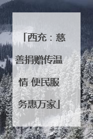 西充：慈善捐赠传温情 便民服务惠万家