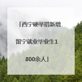 西宁硬举措新增留宁就业毕业生1800余人