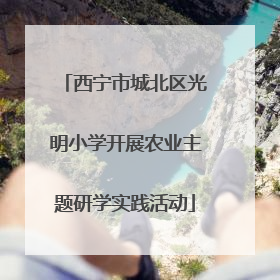 西宁市城北区光明小学开展农业主题研学实践活动