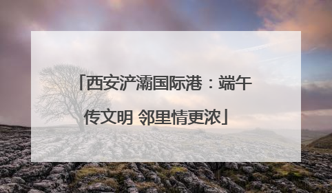 西安浐灞国际港：端午传文明 邻里情更浓
