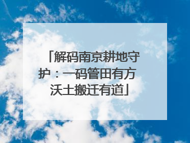 解码南京耕地守护：一码管田有方 沃土搬迁有道