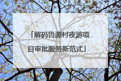 解码鲁源村夜游项目审批服务新范式