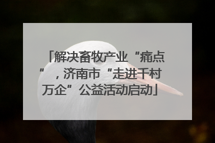 解决畜牧产业“痛点”，济南市“走进千村万企”公益活动启动