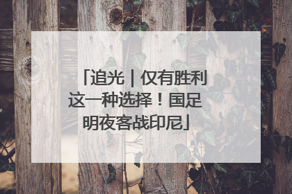 追光｜仅有胜利这一种选择！国足明夜客战印尼