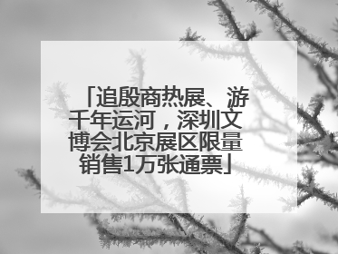 追殷商热展、游千年运河，深圳文博会北京展区限量销售1万张通票