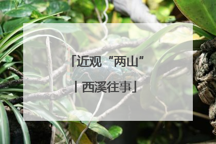近观“两山”丨西溪往事