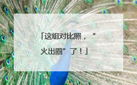 这组对比照，“火出圈”了！