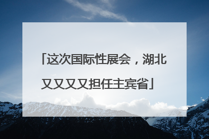 这次国际性展会，湖北又又又又担任主宾省