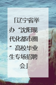辽宁省举办“沈阳现代化都市圈”高校毕业生专场招聘会