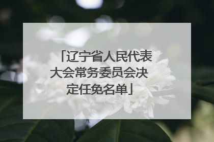 辽宁省人民代表大会常务委员会决定任免名单