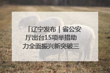 辽宁发布｜省公安厅出台15项举措助力全面振兴新突破三年行动决胜之战