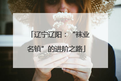 辽宁辽阳：“袜业名镇”的进阶之路