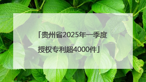 贵州省2025年一季度授权专利超4000件