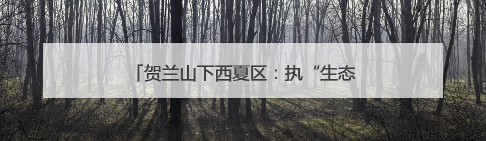贺兰山下西夏区：执“生态之笔” 书写“绿色答卷”