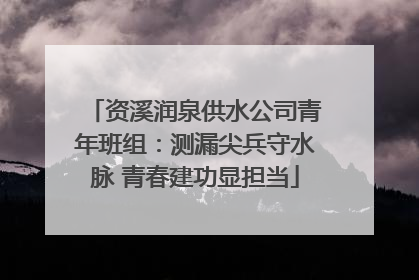 资溪润泉供水公司青年班组：测漏尖兵守水脉 青春建功显担当