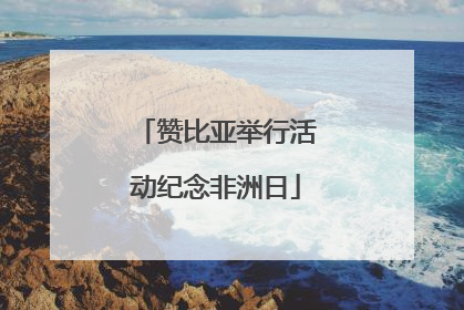 赞比亚举行活动纪念非洲日