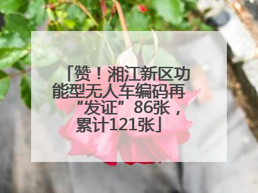 赞！湘江新区功能型无人车编码再“发证”86张，累计121张
