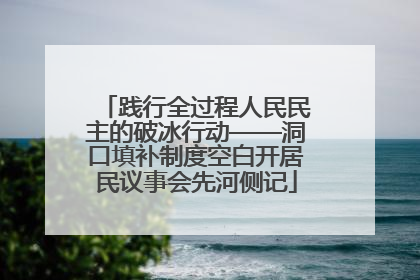 践行全过程人民民主的破冰行动——洞口填补制度空白开居民议事会先河侧记