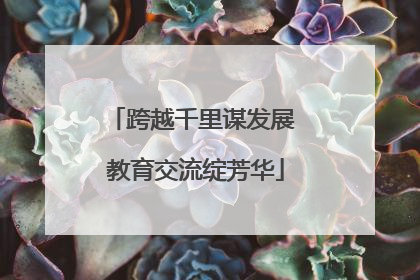 跨越千里谋发展 教育交流绽芳华