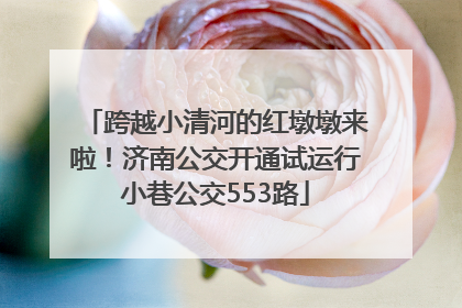 跨越小清河的红墩墩来啦！济南公交开通试运行小巷公交553路