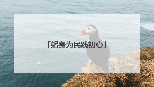 躬身为民践初心
