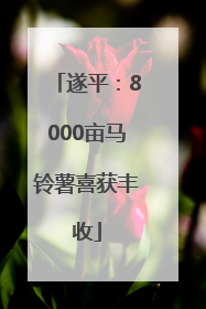 遂平：8000亩马铃薯喜获丰收