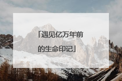 遇见亿万年前的生命印记
