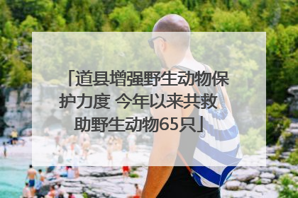 道县增强野生动物保护力度 今年以来共救助野生动物65只