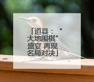 道县：“大地围棋”盛宴 再现名局对决
