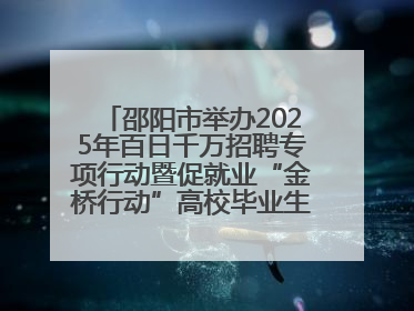 邵阳市举办2025年百日千万招聘专项行动暨促就业“金桥行动”高校毕业生专场招聘会