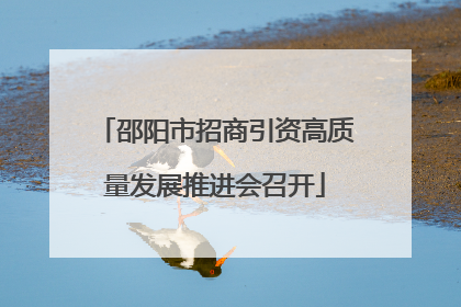 邵阳市招商引资高质量发展推进会召开