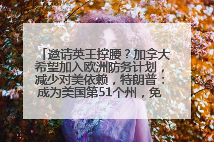 邀请英王撑腰？加拿大希望加入欧洲防务计划，减少对美依赖，特朗普：成为美国第51个州，免费用“金穹”