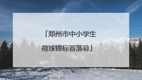 郑州市中小学生荷球锦标赛落幕