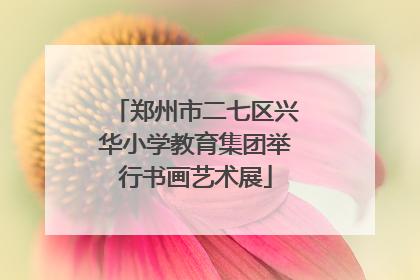 郑州市二七区兴华小学教育集团举行书画艺术展