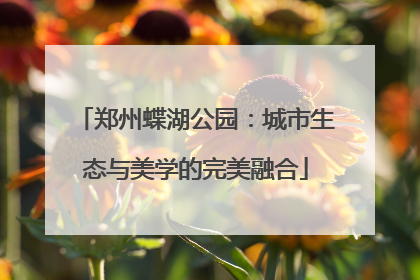 郑州蝶湖公园：城市生态与美学的完美融合