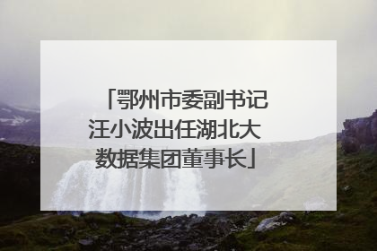 鄂州市委副书记汪小波出任湖北大数据集团董事长
