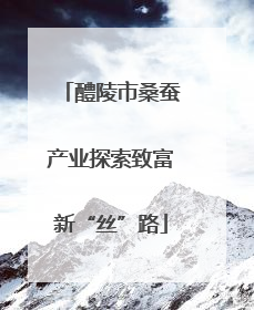 醴陵市桑蚕产业探索致富新“丝”路