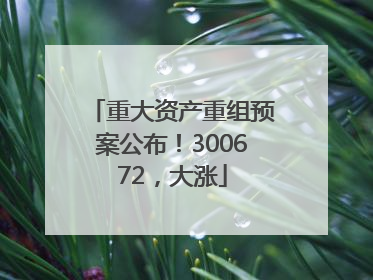 重大资产重组预案公布！300672，大涨